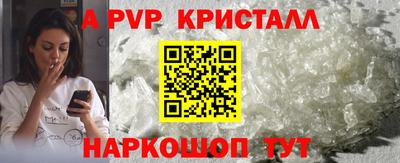 индика Усть-Джегута