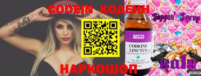 индика Усть-Джегута