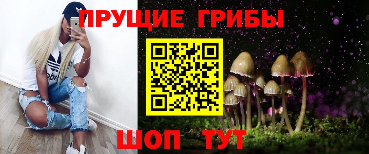 Псилоцибиновые грибы GOLDEN TEACHER  Галлюциногенные грибы MAGIC MUSHROOMS  Вход с VPN  Борисоглебск 
